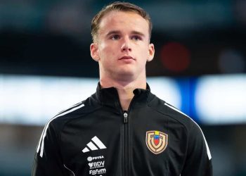 Alessandro Milani: salario y costes de transferencia